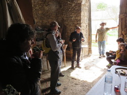 Sortie salades sauvages avec Jean Christophe Raffin