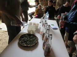 Sortie salades sauvages avec Jean Christophe Raffin