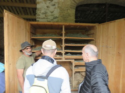 Sortie salades sauvages avec Jean Christophe Raffin