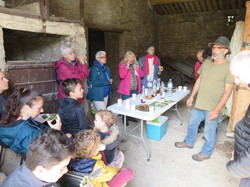 Sortie salades sauvages avec Jean Christophe Raffin