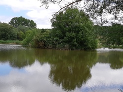 Sorties découverte biodiversité Gorges de la Nesque