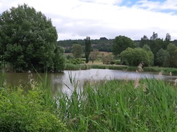 Sorties découverte biodiversité Gorges de la Nesque