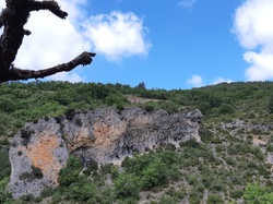 Sorties découverte biodiversité Gorges de la Nesque