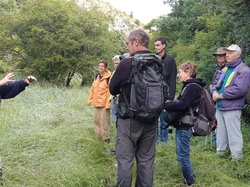 Sorties découverte biodiversité Gorges de la Nesque