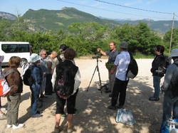 Sur la piste des vautours à St May