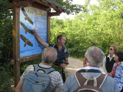 Sur la piste des vautours à St May