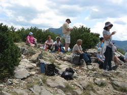 Sur la piste des vautours à St May