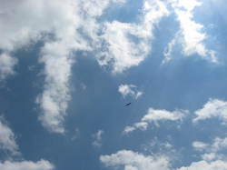 Sur la piste des vautours à St May