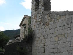 Sur la piste des vautours à St May