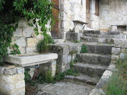 Sur la piste des vautours à St May