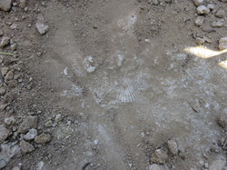 Sur le chemin de l'aqueduc à Sernhac