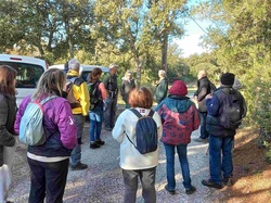 Un fantôme sous les étoiles