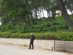 Un joyau au bord du Rhône