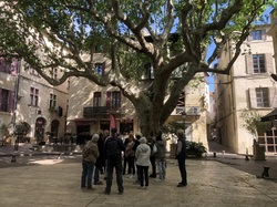 Un joyau au bord du Rhône