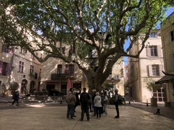 Un joyau au bord du Rhône