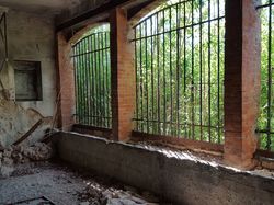 Une Journée autour de la Nesque