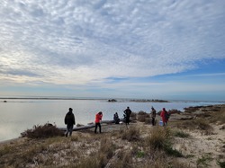 Une journée dans le delta de la Camargue