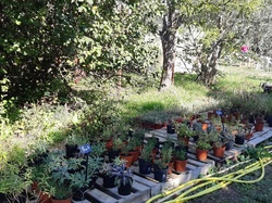Ventoux saveurs à la ferme historique du Four à chaux à Pernes