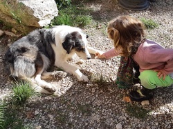Ventoux saveurs à la ferme historique du Four à chaux à Pernes
