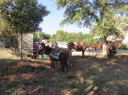 Ventoux saveurs à la ferme historique du Four à chaux à Pernes