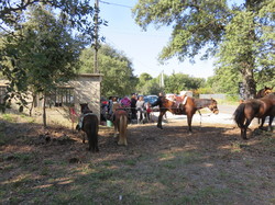 Ventoux saveurs à la ferme historique du Four à chaux à Pernes
