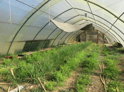 Ventoux saveurs à la ferme historique du Four à chaux à Pernes