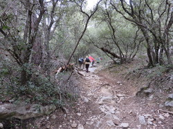 Valescure à Saumane de Vaucluse